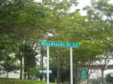 Woodlands Drive 53 #104412